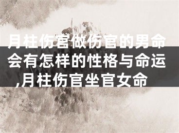 月柱伤官做伤官的男命会有怎样的性格与命运,月柱伤官坐官女命