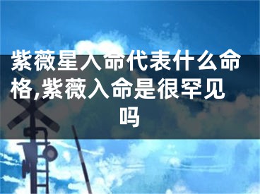 紫薇星入命代表什么命格,紫薇入命是很罕见吗
