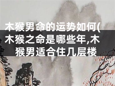 木猴男命的运势如何(木猴之命是哪些年,木猴男适合住几层楼