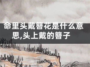 命里头戴簪花是什么意思,头上戴的簪子