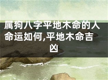 属狗八字平地木命的人命运如何,平地木命吉凶