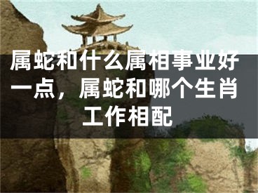 属蛇和什么属相事业好一点，属蛇和哪个生肖工作相配