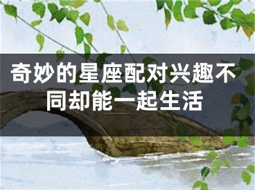 奇妙的星座配对兴趣不同却能一起生活