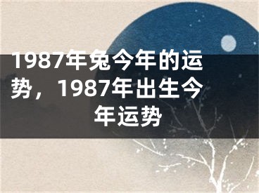 1987年兔今年的运势,1987年出生今年运势