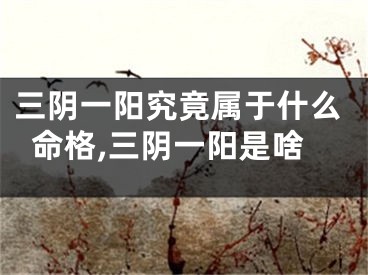 三阴一阳究竟属于什么命格,三阴一阳是啥