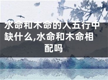水命和木命的人五行中缺什么,水命和木命相配吗