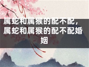 属蛇和属猴的配不配,属蛇和属猴的配不配婚姻