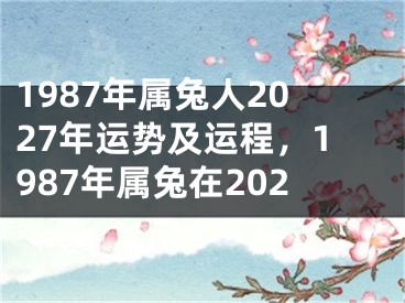 1987年属兔人2027年运势及运程，1987年属兔在202