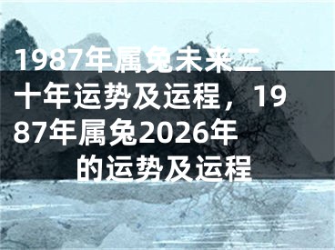 1987年属兔未来二十年运势及运程,1987年属兔2026年的运势及运程