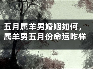 五月属羊男婚姻如何，属羊男五月份命运咋样
