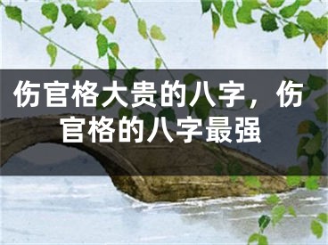 伤官格大贵的八字，伤官格的八字最强
