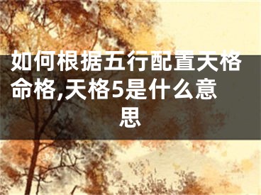 如何根据五行配置天格命格,天格5是什么意思