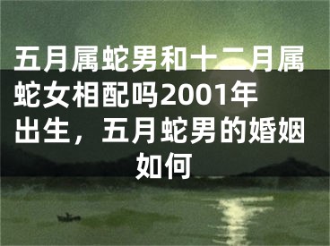 五月属蛇男和十二月属蛇女相配吗2001年出生，五月蛇男的婚姻如何