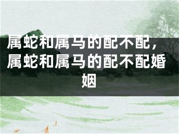 属蛇和属马的配不配,属蛇和属马的配不配婚姻
