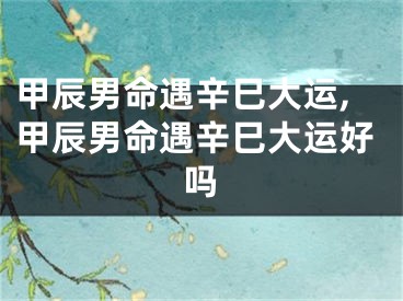 甲辰男命遇辛巳大运,甲辰男命遇辛巳大运好吗