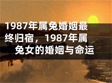 1987年属兔婚姻最终归宿，1987年属兔女的婚姻与命运