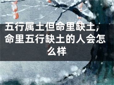 五行属土但命里缺土,命里五行缺土的人会怎么样