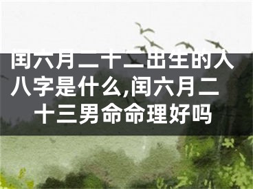 闰六月二十二出生的人八字是什么,闰六月二十三男命命理好吗