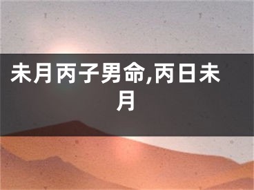 未月丙子男命,丙日未月