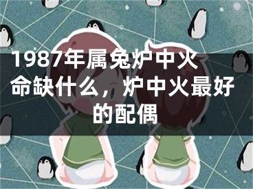 1987年属兔炉中火命缺什么,炉中火最好的配偶