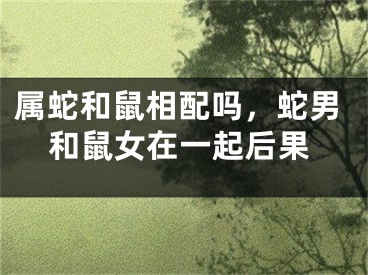 属蛇和鼠相配吗，蛇男和鼠女在一起后果