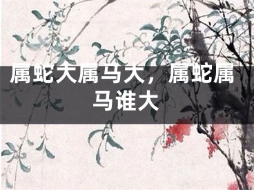 属蛇大属马大,属蛇属马谁大