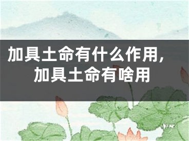 加具土命有什么作用,加具土命有啥用