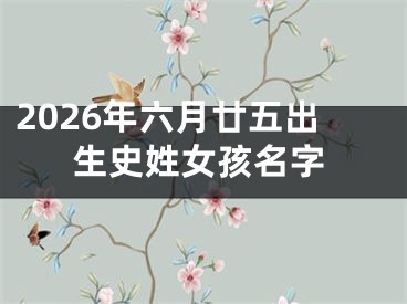 2026年六月廿五出生史姓女孩名字