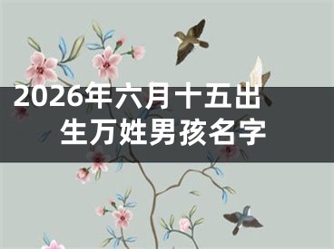 2026年六月十五出生万姓男孩名字