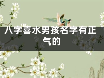 八字喜水男孩名字有正气的
