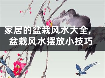 家居的盆栽风水大全,盆栽风水摆放小技巧