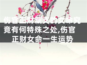 伤官正财藏支的女命究竟有何特殊之处,伤官正财女命一生运势