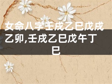 女命八字壬戌乙巳戊戌乙卯,壬戌乙巳戊午丁巳