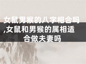 女鼠男猴的八字相合吗,女鼠和男猴的属相适合做夫妻吗
