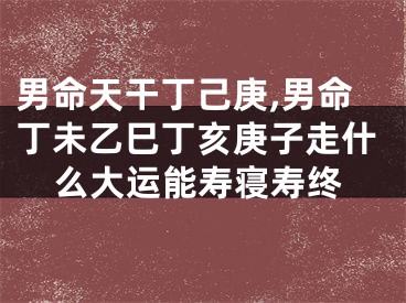 男命天干丁己庚,男命丁未乙巳丁亥庚子走什么大运能寿寝寿终
