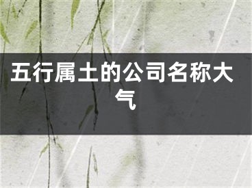 五行属土的公司名称大气
