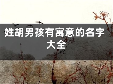 姓胡男孩有寓意的名字大全