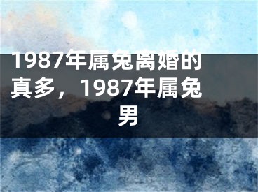 1987年属兔离婚的真多,1987年属兔男