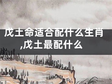 戊土命适合配什么生肖,戊土最配什么