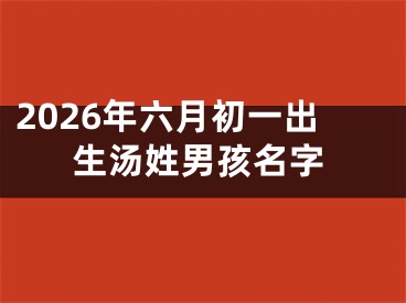 2026年六月初一出生汤姓男孩名字