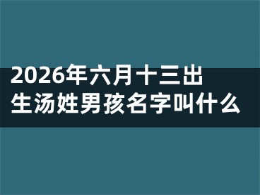 2026年六月十三出生汤姓男孩名字叫什么