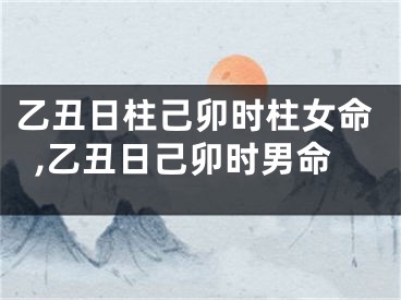 乙丑日柱己卯时柱女命,乙丑日己卯时男命