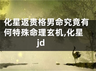 化星返贵格男命究竟有何特殊命理玄机,化星 jd
