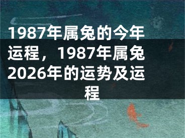 1987年属兔的今年运程,1987年属兔2026年的运势及运程