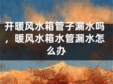 开暖风水箱管子漏水吗，暖风水箱水管漏水怎么办