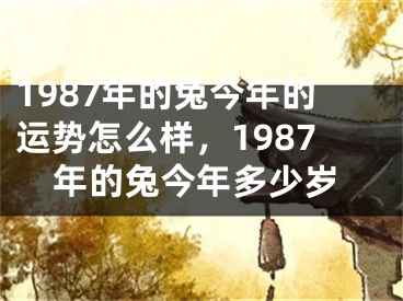 1987年的兔今年的运势怎么样，1987年的兔今年多少岁