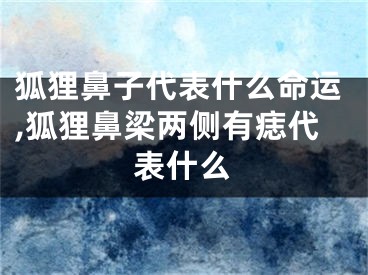 狐狸鼻子代表什么命运,狐狸鼻梁两侧有痣代表什么