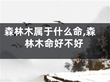 森林木属于什么命,森林木命好不好