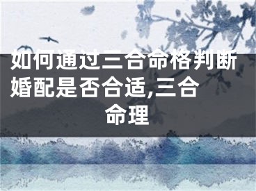 如何通过三合命格判断婚配是否合适,三合 命理
