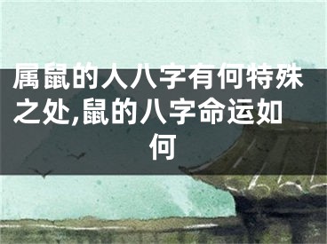属鼠的人八字有何特殊之处,鼠的八字命运如何